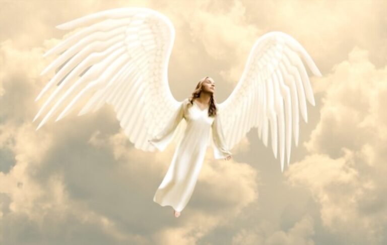 Angel Number 6: Meaning & Symbolism (numerology Secrets Of 6)