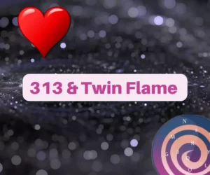 this image introduces the paragraph about 313 twin flame meaning