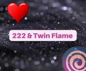 this image introduces the paragraph about angel number 222 twin flame