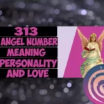 Angel Number 313: Complete Explanation