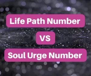 this image introduces how life path number differentiate from soul urge number