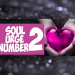 this is the thumbnail for article about soul urge number 2