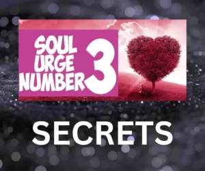 this image introduces the paragraph about soul urge number 3 secrets