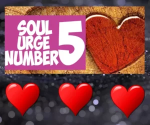 this image introduces the paragraph about soul urge number 5 compatibility