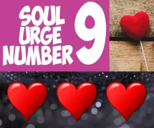 this is the image related to soul urge number 9 love compatibility