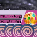 Life Path Number Compatibility (All You Need To Know)