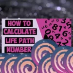 this is the thumbnail for the article about How To Calculate Your Life Path Number