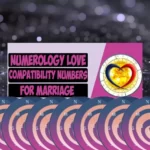 Numerology Love Compatibility Numbers For Marriage