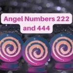 This is the thumbnail for the article about Angel Numbers 222 and 444