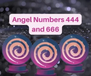 This is the thumbnail for the article about Angel Numbers 444 and 666