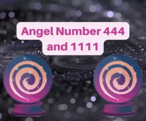 This is the thumbnail for the article about Angel Number 444 and 1111