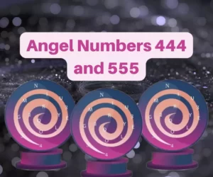 This is the thumbnail for the article about Angel Numbers 444 and 555